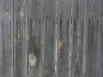 Similar image 1756151