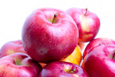 Similar image 1756257