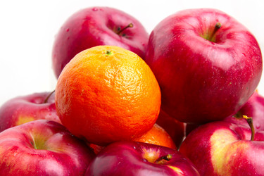 Similar image 1756262