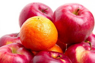 Similar image 1756263