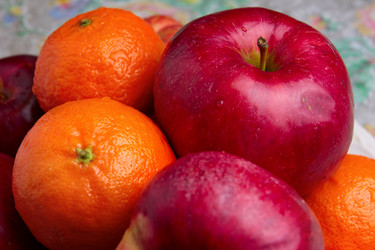 Similar image 1756266