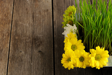 Similar image 1756456