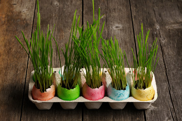 Similar image 1756473