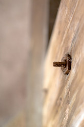 Similar image 1756700