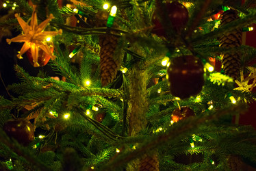 Similar image 1756709