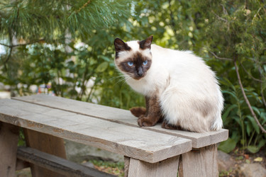 Similar image 1756808