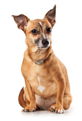 Similar image 1756860