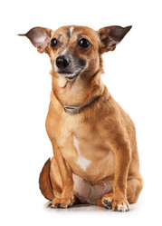 Similar image 1756861