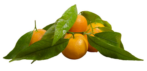 Similar image 1756913