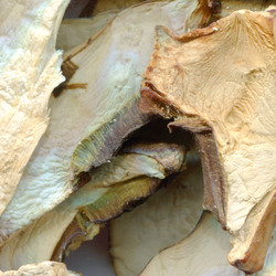 Similar image 1756946