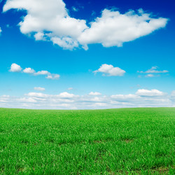 Similar image 1757005