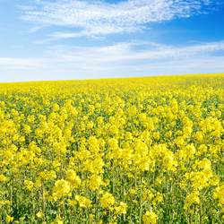 Similar image 1757012