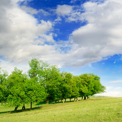 Similar image 1757025