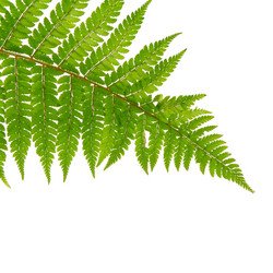 Similar image 1757036