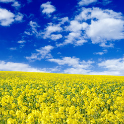 Similar image 1757037