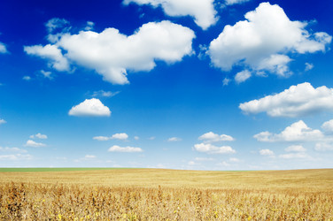 Similar image 1757039