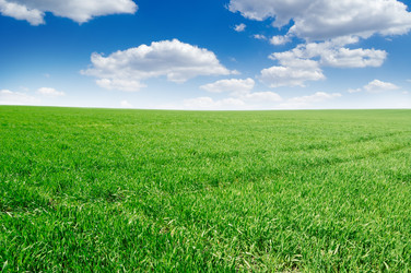 Similar image 1757040