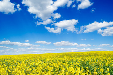 Similar image 1757076