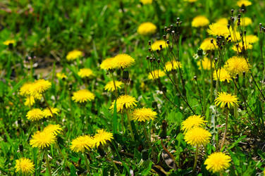 Similar image 1757083