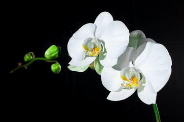 Similar image 1757223