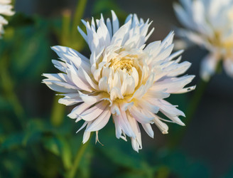 Similar image 1757405