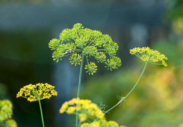 Similar image 1757416