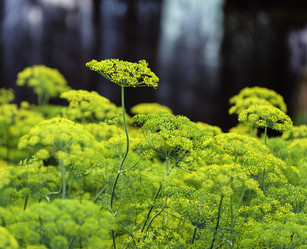 Similar image 1757417