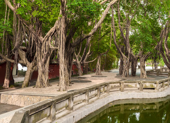 Similar image 1757422