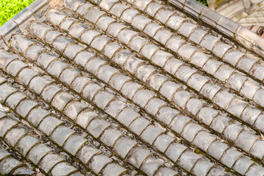 Similar image 1757439