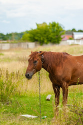 Similar image 1757468