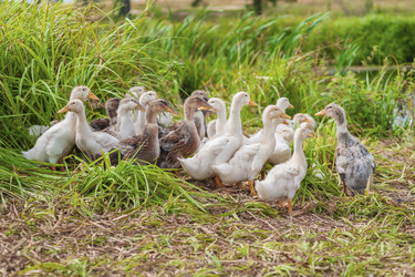 Similar image 1757469