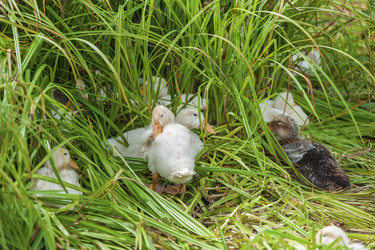 Similar image 1757470