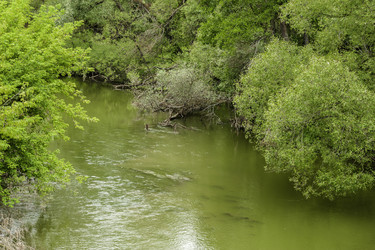 Similar image 1757473