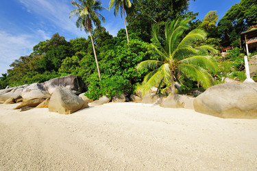 Similar image 1757547