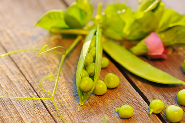 Similar image 1757555