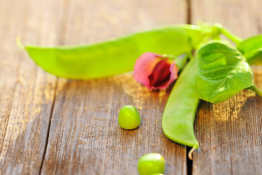 Similar image 1757556