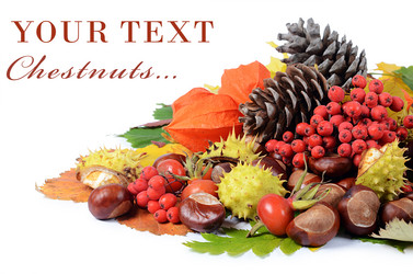 Similar image 1757682