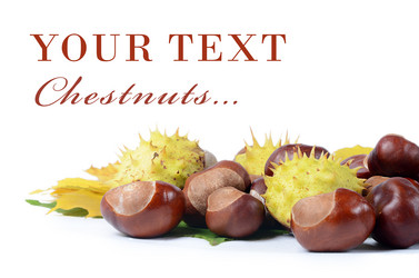 Similar image 1757716