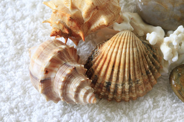 Similar image 1757767