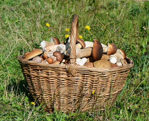 Similar image 1757778