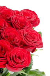 Similar image 1757803