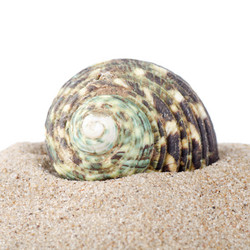 Similar image 1757806