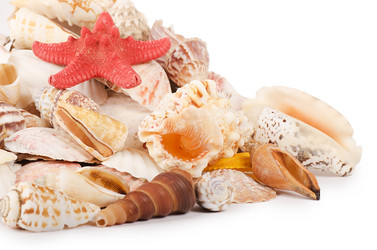 Similar image 1757824