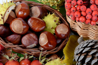 Similar image 1757826