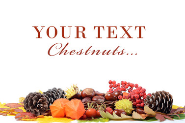 Similar image 1757837