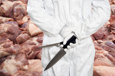 Similar image 1757851