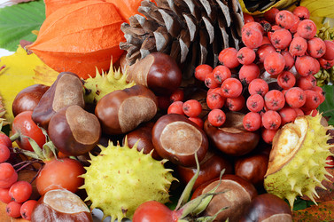 Similar image 1757866