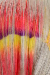 Similar image 1757901