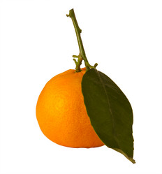 Similar image 1758117