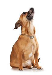 Similar image 1758119